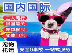 威海机场货运国际宠物托运 【国